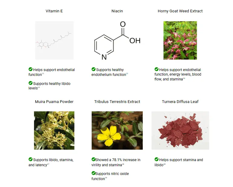 Tupi Tea ingredients